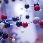dna molecules can tell time